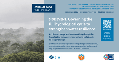 Side event flyer